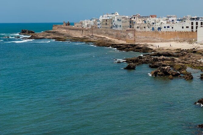 Full Day Shared Tour in Essaouira - Fish market stop for 1 hour: how to turn seafood curiosity into a real meal