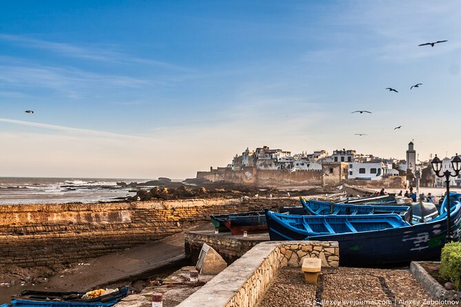 Full Day Shared Tour in Essaouira - Price and value for a shared Essaouira day trip at $16.37