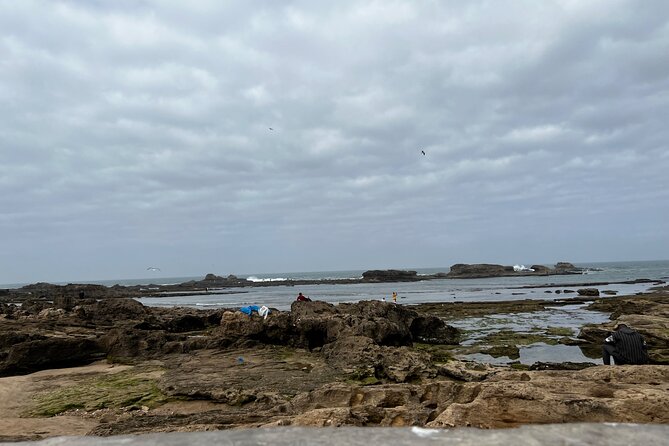 Full Day Tour From Marrakech To Essaouira Mogador - Marrakech to Essaouira: What the Change of Pace Feels Like