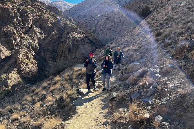Full Day Tour From Marrakech to Ourika Valley with Lunch - How the Marrakech to Ourika Valley day trip really feels (7 hours, pickup, real guidance)