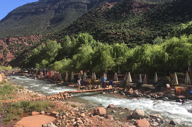 Full day tour Ourika Valley And Atlas Mountains - Berber lunch: included vibes, but your meal is an add-on