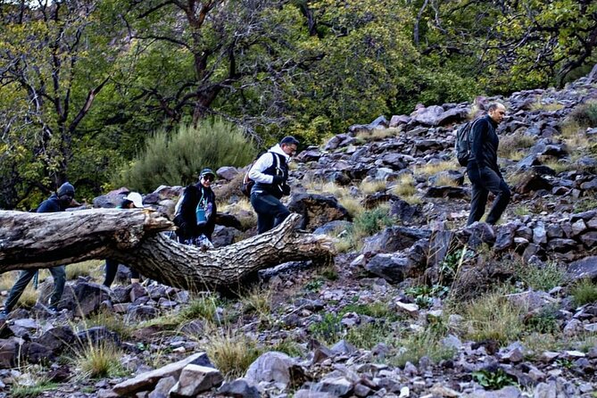 Full Day Tour to Atlas Mountains in Imlil Valley - The Aroumd segment: keep a steady rhythm