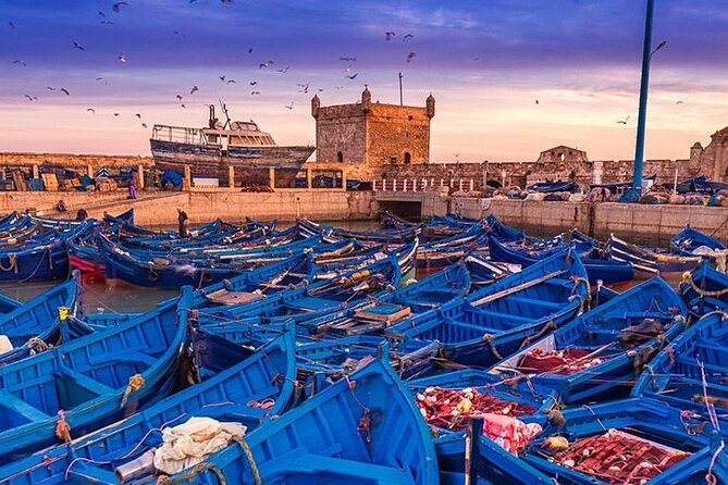 Full Day Tour To Essaouira from Marrakech - Key things that make this Essaouira day trip worth your time