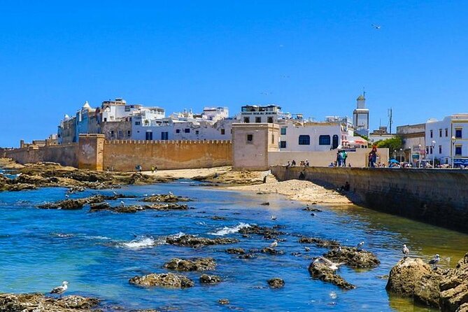Full Day Tour To Essaouira from Marrakech - Market time in the old medina: crafts, shopping, and how to avoid chaos