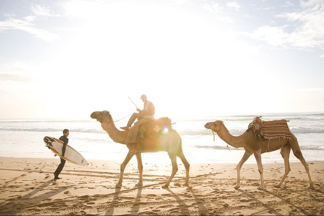 Full-Day Tour to Essaouira - The Ancient Mogador City from Marrakech - Free time in Essaouira: how to spend it like a local
