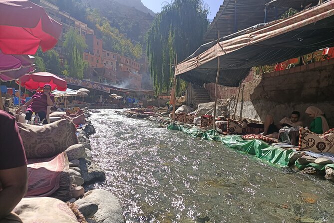 Full Day Tour to Ourika Valley Berber Village and Atlas Mountain - Price and What You Actually Get for About $23