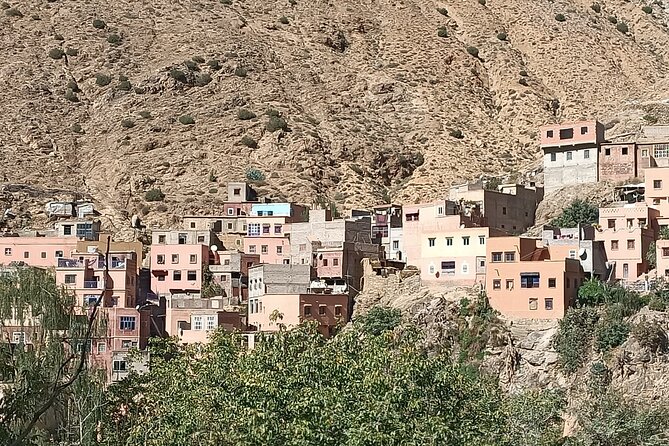 Full Day Tour to Ourika Valley Berber Village and Atlas Mountain - Group Size, Pace, and Comfort (Up to 16)