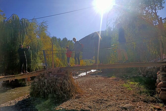 Full Day Tour to Ourika Valley Berber Village and Atlas Mountain - Who Should Book This Ourika + Berber Village Tour?