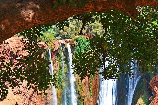 Full Day Tour to Ouzoud Waterfall - Quick Take: Why This Ouzoud Day Trip Works