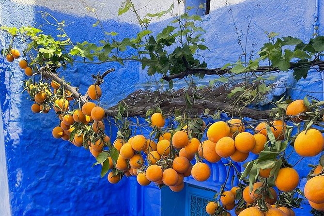 Full-Day Tour to the Blue City Chefchaouen on Small-Group - Weather, Comfort, and Your Best Day-Planning Move