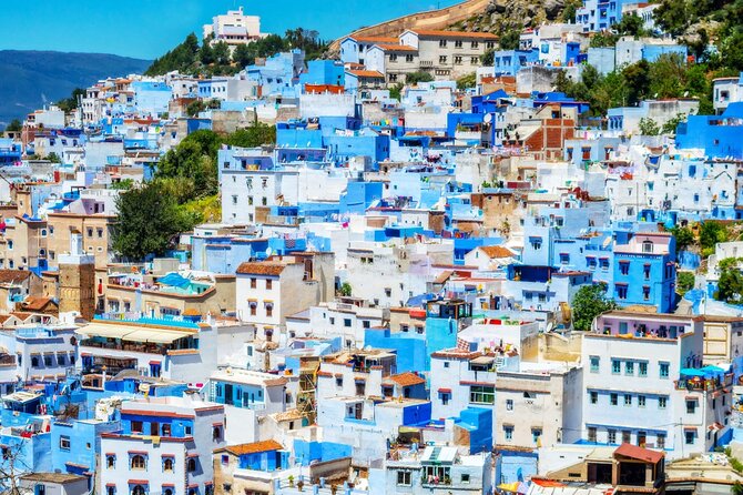 Full day trip from Fez to Chefchaouen - Chefchaouen Medina on your own: walking time, pacing, and practical tips