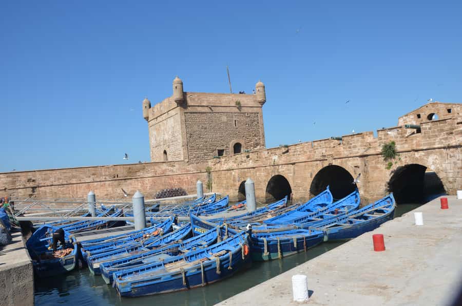 Full Day Trip From Marrakech To Essaouira - Ramparts, cannons, and the Atlantic mood in your photos