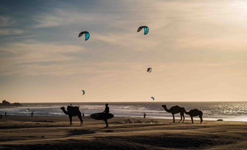 Full Day Trip From Marrakech To Essaouira - The fishing port and lunch ideas you can actually use
