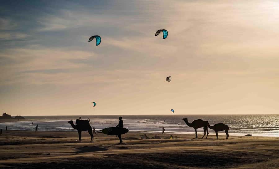 Full Day Trip From Marrakech To Essaouira - Price and value: is $16 a good deal for a 10-hour day?