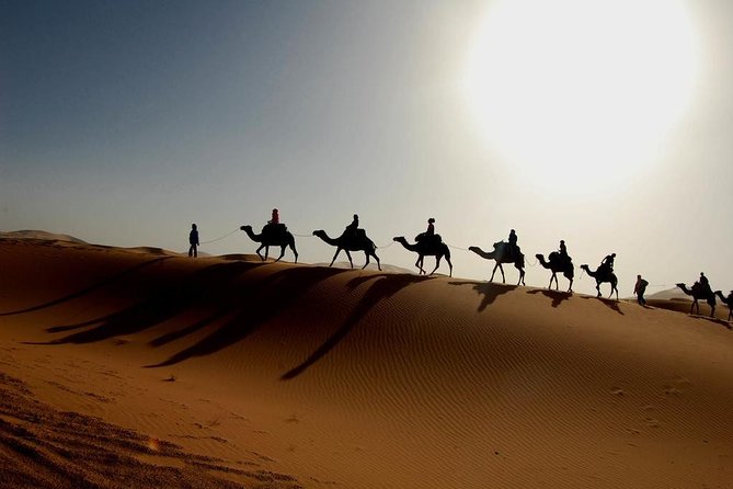 Full day trip from Zagora To erg chigaga Desert - Quick hits before you go