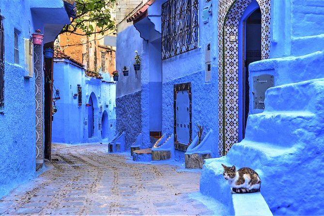 Full-Day Trip to Chefchaouen from Tangier - Kasbah, Mosque, and Utta El Hamam Square: The Town Anchors