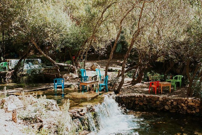 Full Day trip To chefchaouen including 3 courses lunch - Three-course lunch in Chefchaouen: order smart, especially as a vegetarian
