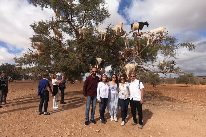 Full Day Trip To Essaouira city - Departure From Marrakech - Jewish Quarter, Berber Markets, and the Best Way to Use Free Time