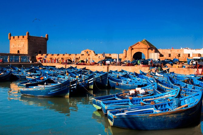 Full day trip to Essaouira from Marrakech - Essaouira port life and Skala Kasbah: where the sea meets old stone