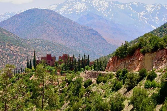 Full day trip to Ourika valley and High Atlas - Pickup, timing, and getting to the mountains without the headache