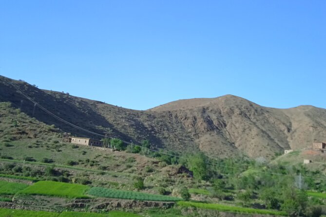 Full Day Trip to Ourika Valleys with waterfalls - Price and logistics: what $19.74 gets you (and what to watch for)