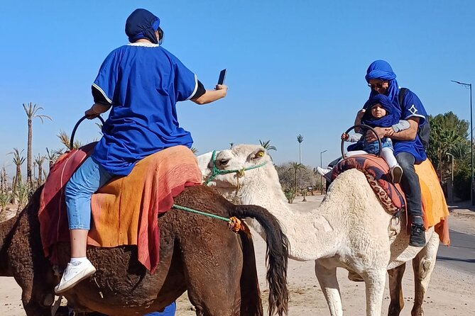 Full day trip to Ourika vally - Getting There and Back: Transport, Timing, and How to Plan