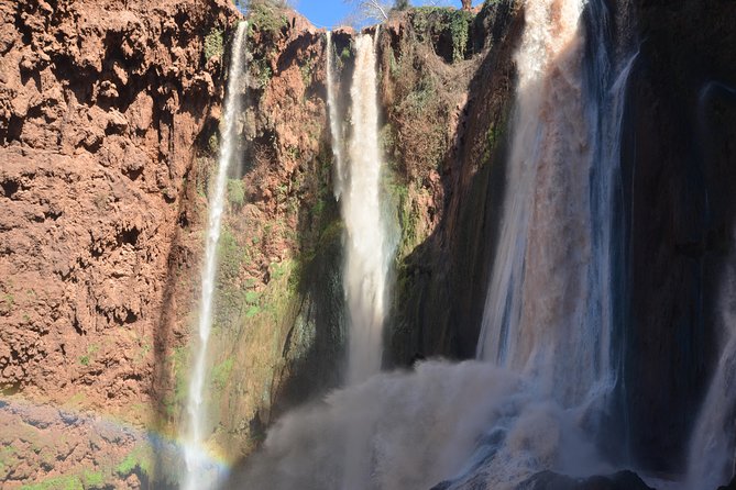 Full Day Trip To Ouzoud Waterfalls From Marrakech & boat ride - Meeting the Macaques: Fun to Watch, Smart to Handle