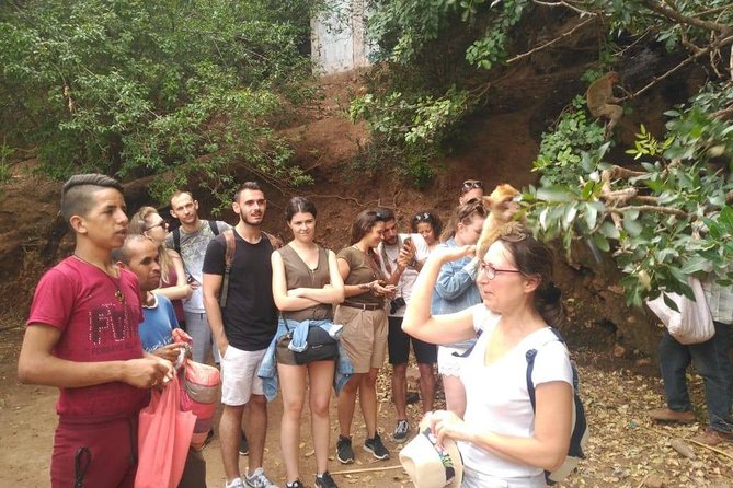 Full Day Trip To Ouzoud Waterfalls From Marrakech & boat ride - Walking Down (and Back Up): Plan for Real Steps