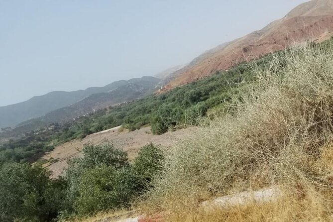 Full Day Trip to the Three Valleys in the Atlas Mountain From Marrakech 'Shared' - Asni and the Berber family visit: the cultural anchor