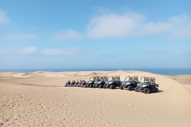 Fun buggies in Agadir Forest and Beach Dunes - Key Things to Know Before You Go