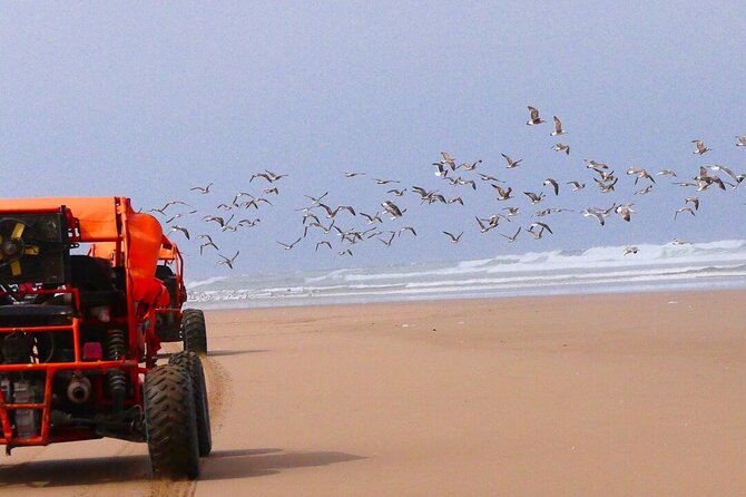 Fun buggies in Agadir Forest and Beach Dunes - Getting From Agadir to the Dunes Without Getting Stressed