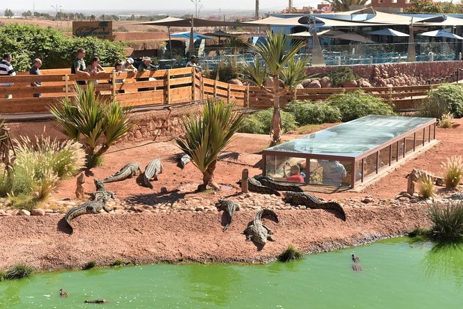 Goat on trees & Crocodile Park Including Tickets and Hotel Pickup - Getting to Crocoparc without logistics headaches