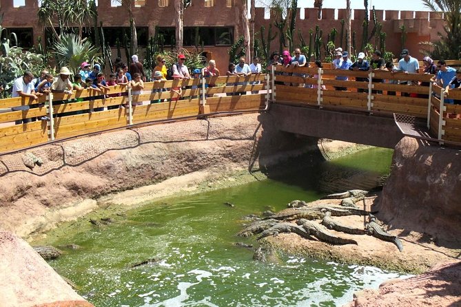 Goat on trees & Crocodile Park Including Tickets and Hotel Pickup - What the 3-hour timing really means for your day