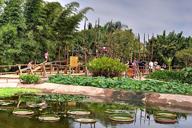 Goat on trees & Crocodile Park Including Tickets and Hotel Pickup - Price and value: why $52.29 can actually make sense