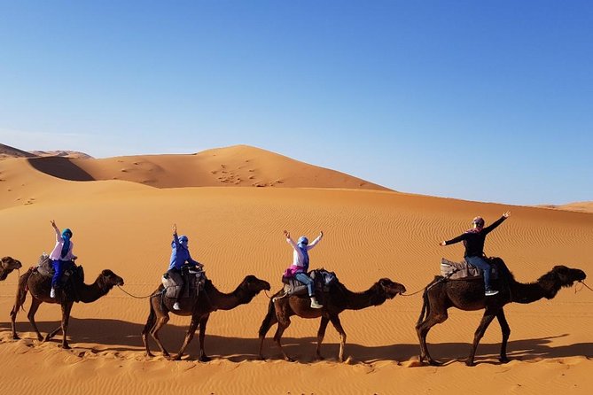 Group - 2 Nights Desert Trip from Fes to Marrakech or back to Fes - Private-Enough Comfort: Group Size That Feels Like a Real Small Trip