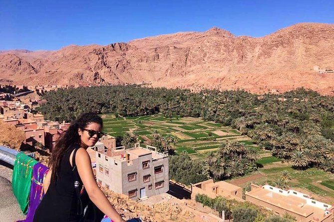 Group - 2 Nights Desert Trip from Fes to Marrakech or back to Fes - Ifrane and Azrou: Cedar Forests and Barbary Apes (Lunch Can Get Interesting)