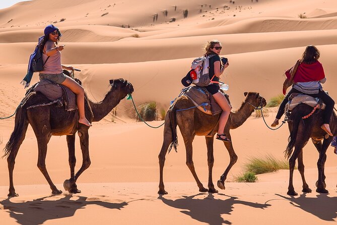 Group 3-Day Marrakech to Merzouga Desert Tour - Tinghir Oasis walk and Todra canyon: the best contrast day