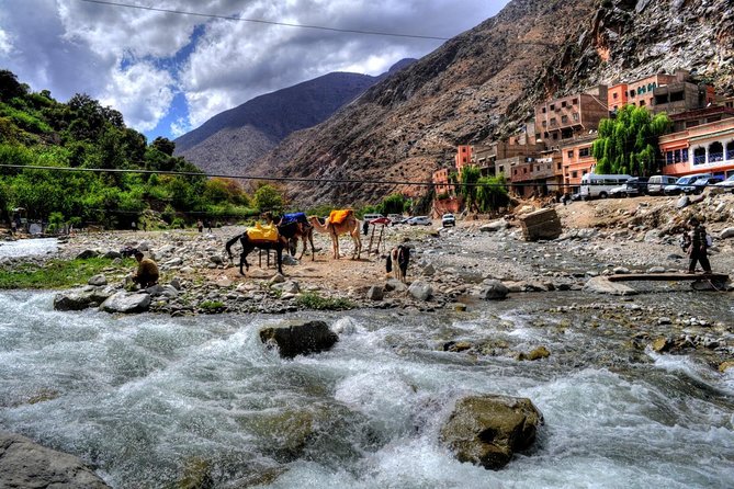 Group shared day tour to Ourika valley & Atlas Mountains - Price and Value: Why $17.45 Makes Sense (and Where It Doesn’t)