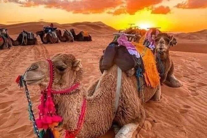 GROUP TOUR - 1 night 2 Day LUXURY Desert TRIP from FES to FES - Why Fez to Merzouga works better as a tour than DIY