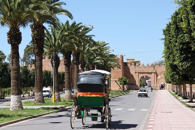 Guided Shared Day Trip Agadir to Marrakech medina & souks - Key highlights worth planning for