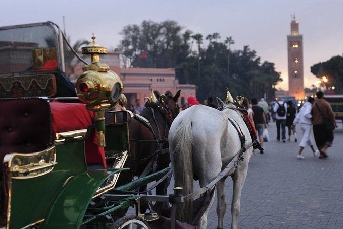 Guided Shared Day Trip Agadir to Marrakech medina & souks - Medina and souks: 3 hours to wander, shop, and reset