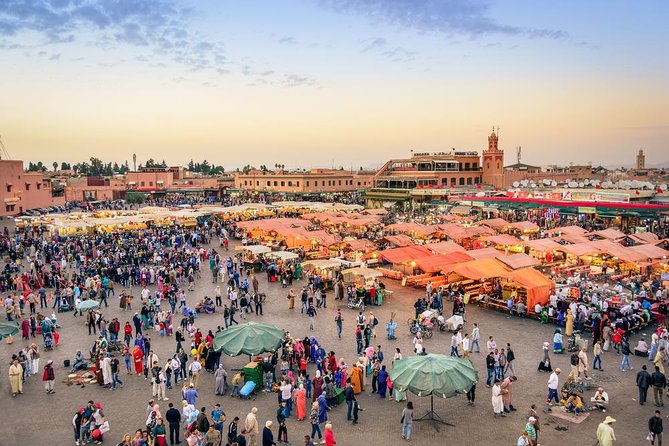 Guided Shared Day Trip Agadir to Marrakech medina & souks - Price and logistics: what you’re really paying for