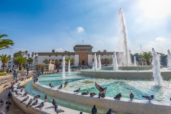 Guided tour of casablanca and rabat, full day. - Who should book this tour, and who might not love the format