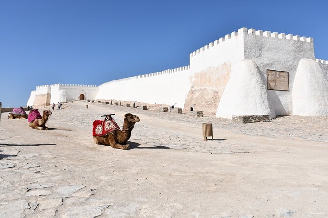 Guided Tour of Souk El Had in Agadir with a Certified Guide - Key Highlights You’ll Notice Fast