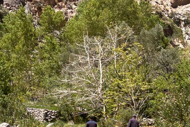 Guided tour of the Palmerie de Skoura by electric mountain bike - Electric mountain bikes in Skoura’s palmeraie (and why it works)