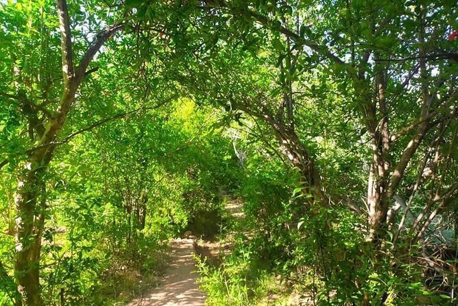 Guided tour of the Palmerie de Skoura by electric mountain bike - Riding through Skoura Ahl El Oust: the working oasis perspective