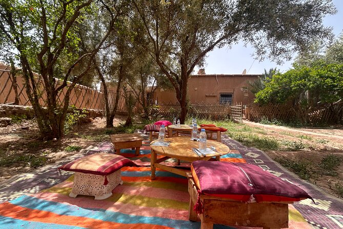 Guided tour of the Palmerie de Skoura by electric mountain bike - Kasbah Amridil in 30 minutes: short visit, real contrast