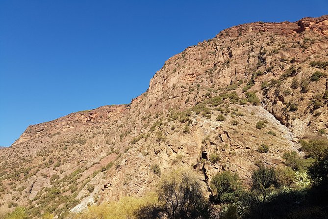 Half-Day Atlas Mountains Tour From Marrakech - The Waterfall Hike Near Setti Fatma: Real Trails, Real Time