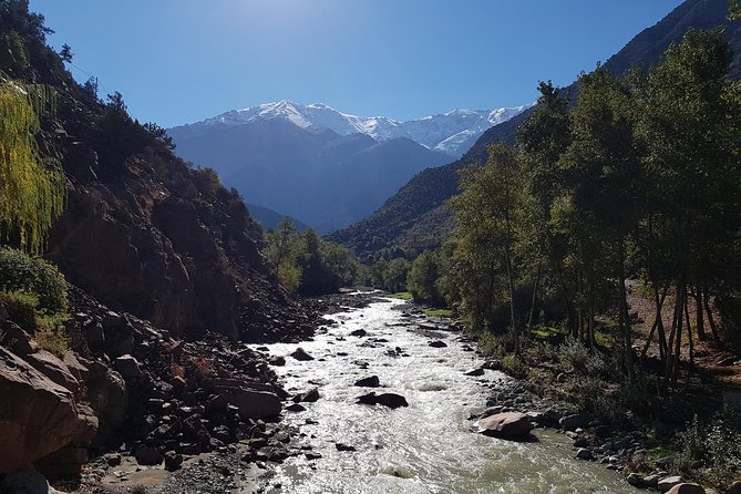 Half-Day Atlas Mountains Tour From Marrakech - What You’re Really Paying For (And Why It’s Not Just a Cheap Ride)