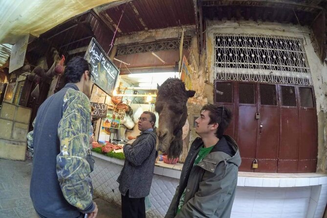 Half-Day Guided Tour in Fes - Chouara Tannery from the Terraces: The Sights That Make Fes Memorable